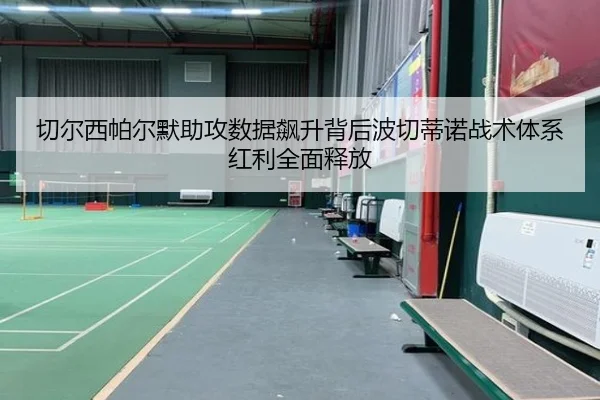 切尔西帕尔默助攻数据飙升背后波切蒂诺战术体系红利全面释放